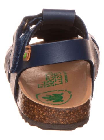 El Naturalista Enkelsandalen donkerblauw