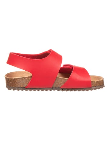 El Naturalista Sandalen rood