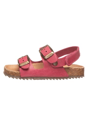 El Naturalista Leder-Sandalen in Fuchsia