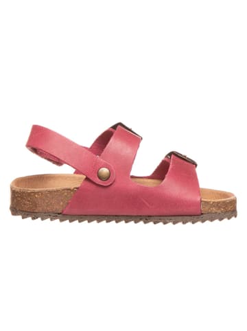 El Naturalista Leren sandalen fuchsia