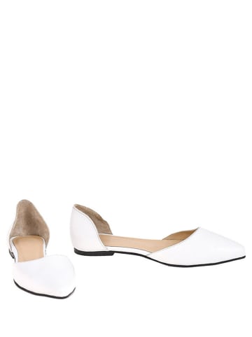 Lizza Shoes Leren ballerina's wit