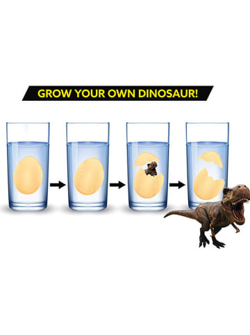 Toi-Toys Schlüpf-Ei "Dinosaurier" - ab 6 Jahren (Überraschungsprodukt)