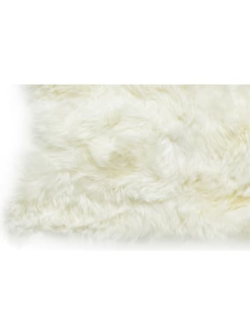 Lifa Living Schapenvacht crème - (L)60 x (B)90 cm