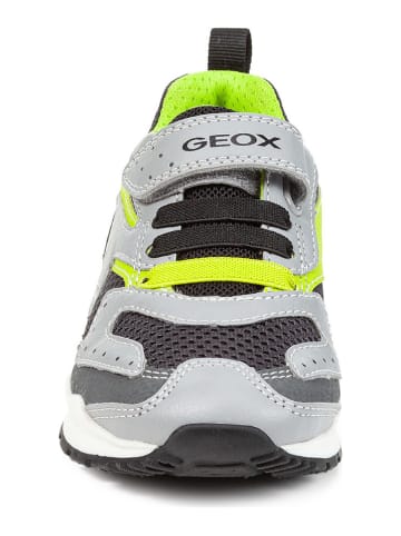 Geox Sneakers "Pavel" grijs