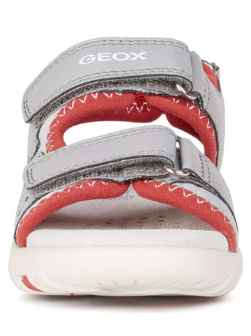 Geox Sandały "Pianeta" w kolorze szarym