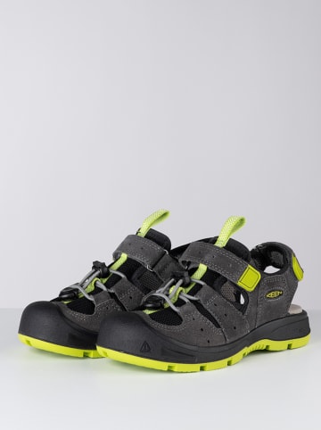 Keen Enkelsandalen "Balboa" antraciet