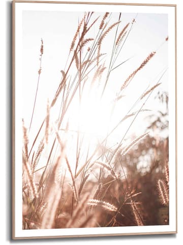 Orangewallz Gerahmter Kunstdruck "Sunlight Grasses Scandic Breeze"