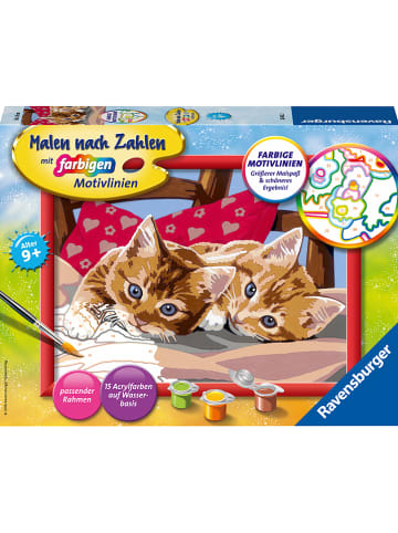 Ravensburger Malen nach Zahlen-Set "Zwei Schmusekätzchen" - ab 9 Jahren