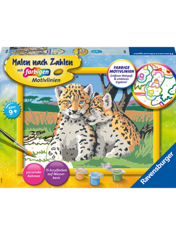 Ravensburger Malen nach Zahlen-Set "Kleine Leoparden" - ab 9 Jahren
