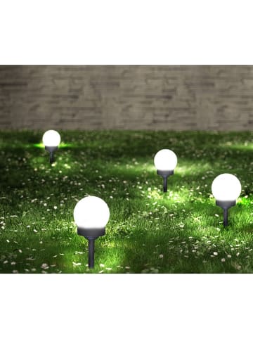 näve 8er-Set: LED-Solar-Gartenstecker in Weiß/ Anthrazit - (H)34 cm