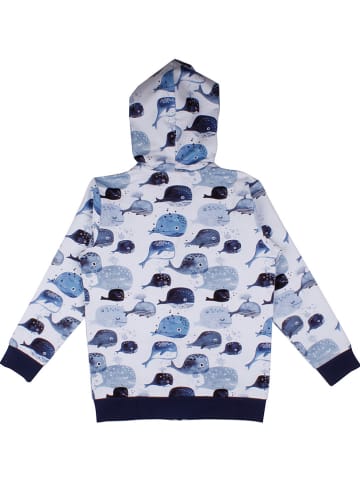 Walkiddy Bluza w kolorze niebiesko-białym