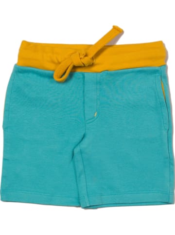 Little Green Radicals Sweatshorts in Türkis