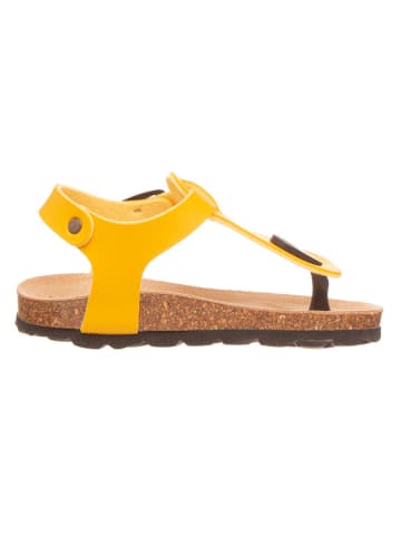 BIO PINGÜIN Zehentrenner in Gelb