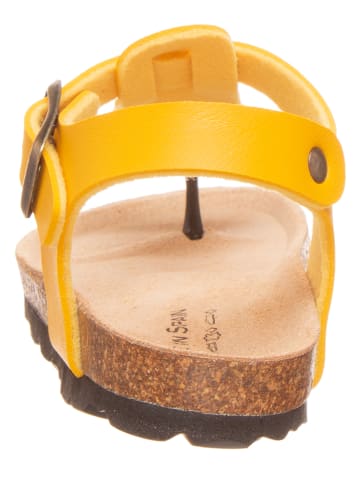 BIO PINGÜIN Japonki w kolorze żółtym