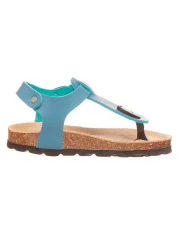 BIO PINGÜIN Japonki w kolorze turkusowym