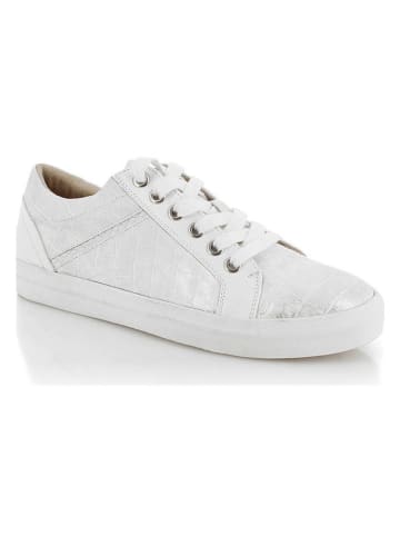 Kimberfeel Sneakers "Gavernie" wit