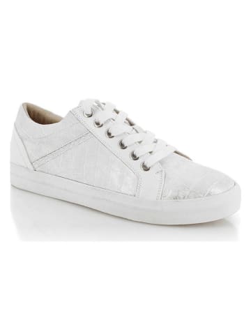 Kimberfeel Sneakersy "Gavernie" w kolorze białym