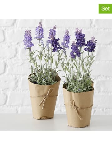 Boltze 2er-Set: Kunstpflanzen "Lavendel" in Lila - (H)32 cm