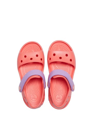 Crocs Sandały "Crocband" w kolorze różowo-fioletowym