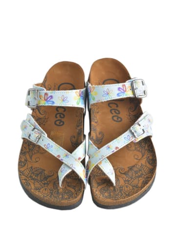 Calceo Zehentrenner in Hellblau/ Bunt