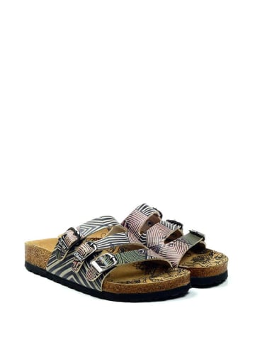 Calceo Pantoletten in Bunt