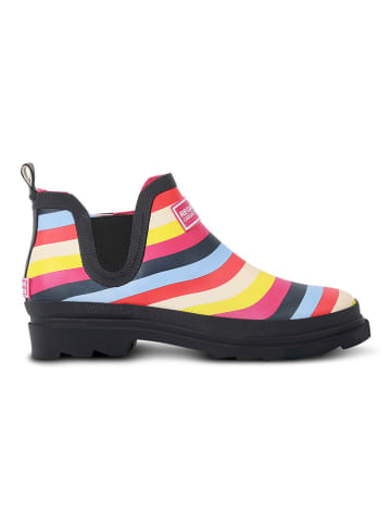 Regatta Gummistiefel "Trello" in Bunt