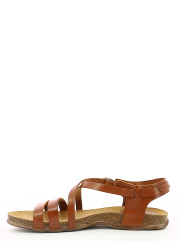 Kickers Leren sandalen "Anatomium" lichtbruin