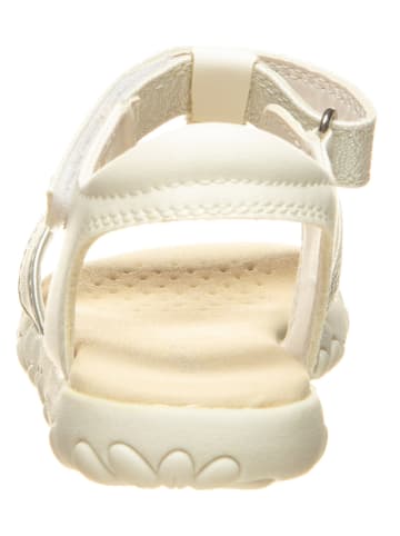 Geox Sandalen zilverkleurig