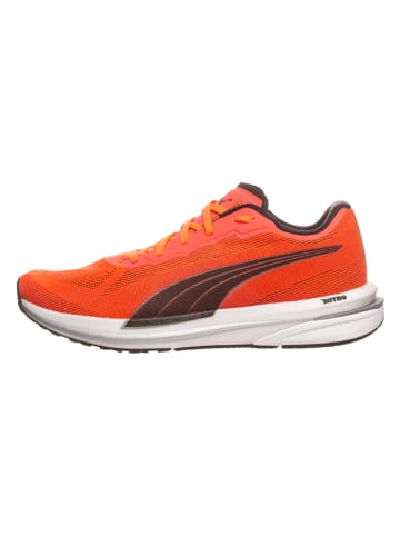 Puma Buty "Velocity Nitro" w kolorze pomarańczowym do biegania