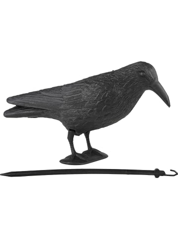 Garden Hero Dekofigur "Rabe" in Schwarz - (B)38 x (H)13 x (T)11 cm