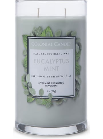 Colonial Candle Świeca zapachowa "Eucalyptus Mint" - 510 g