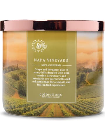 Colonial Candle Geurkaars "Napa Vineyard" groen/abrikooskleurig - 411 g