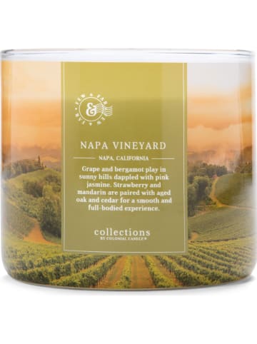 Colonial Candle Geurkaars "Napa Vineyard" groen/abrikooskleurig - 411 g