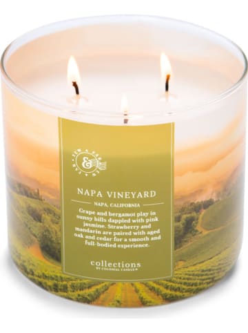Colonial Candle Geurkaars "Napa Vineyard" groen/abrikooskleurig - 411 g