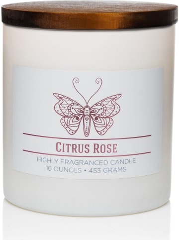 Colonial Candle Duftkerze "Citrus Rose" in Weiß - 453 g