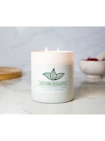Colonial Candle Duftkerze "Soothing Eucalyptus" in Weiß - 453 g