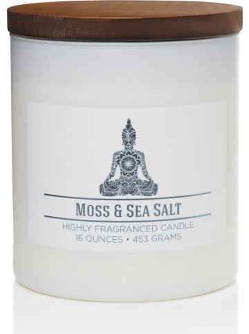 Colonial Candle Duftkerze "Moss and Sea Salt" in Weiß - 453 g