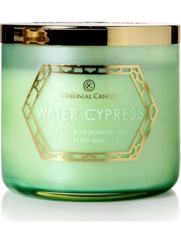Colonial Candle Geurkaars "Water Cypress" groen - 411 g