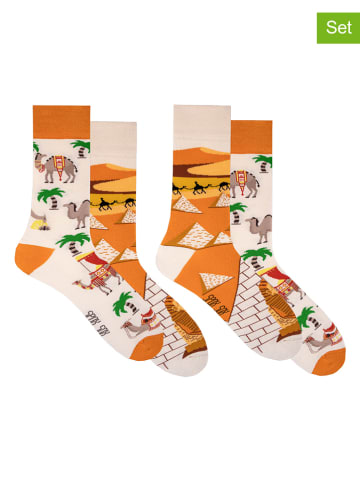 Spox Sox 2-delige set: sokken "Camels from Egypt" oranje/crème