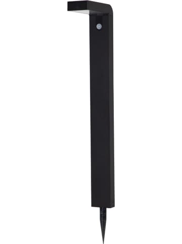 STAR Trading Solarna lampa LED "Vici" w kolorze czarnym - wys. 80 cm