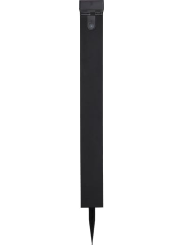STAR Trading Solarna lampa LED "Vici" w kolorze czarnym - wys. 80 cm