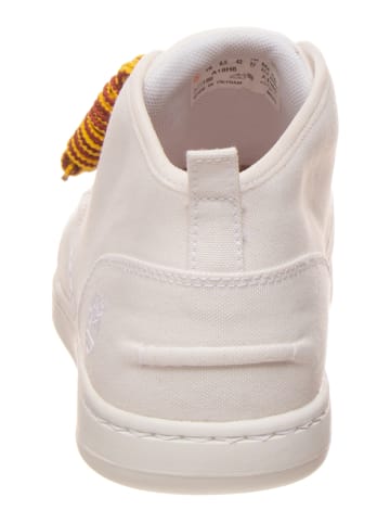 Timberland Sneakers "Newmarket Cup" wit