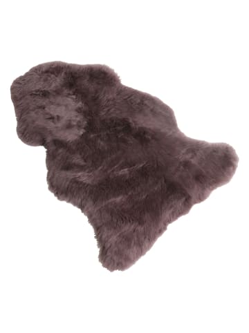 Kaiser Naturfellprodukte H&L Lamsvacht bruin