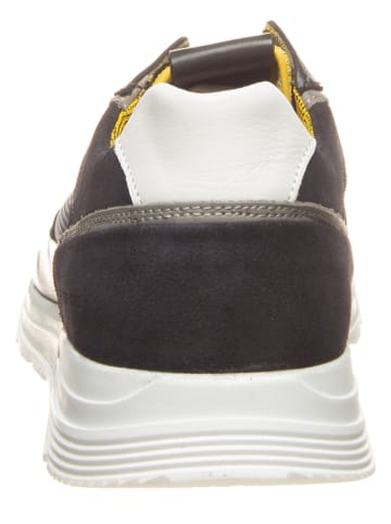 SALAMANDER Leren sneakers "Dayman" donkerblauw