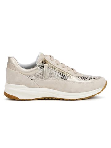 Geox Leder-Sneakers in Beige