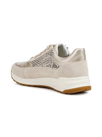 Geox Leder-Sneakers in Beige