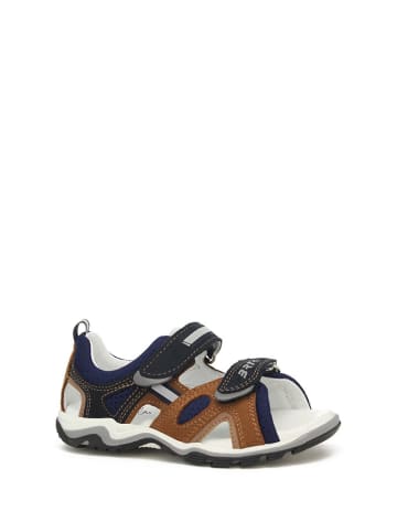 Bartek Leren sandalen donkerblauw/bruin