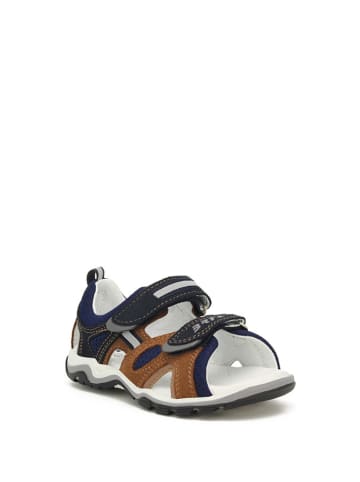 Bartek Leder-Sandalen in Dunkelblau/ Braun