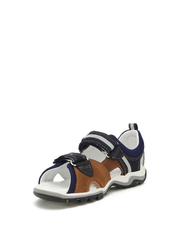 Bartek Leder-Sandalen in Dunkelblau/ Braun