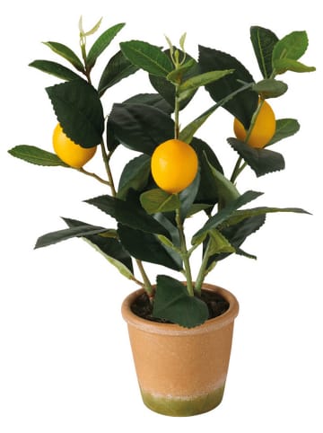 Boltze Kunstpflanze "Zitrone" in Gelb/ Grün - (H)32 cm